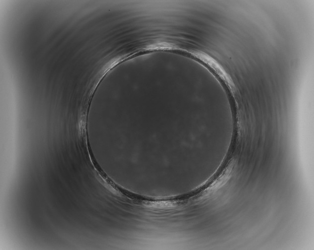 X0000093751337200710161150