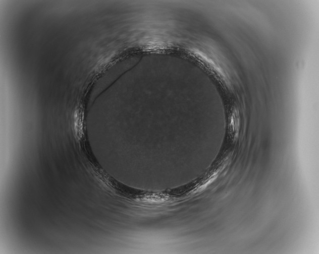 X0000093751348200710161150