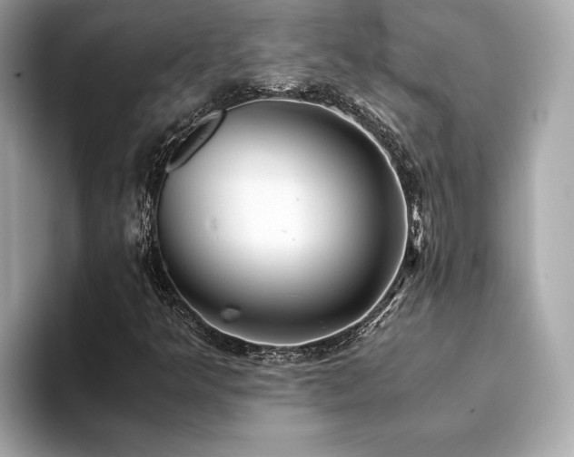 X0000093751349200710161150