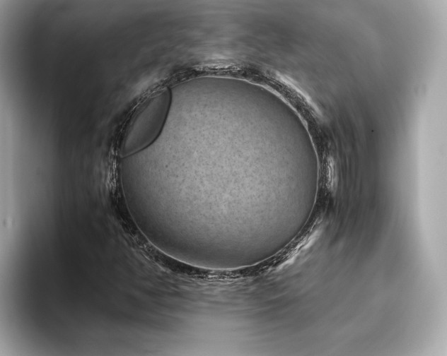 X0000093751350200710161150