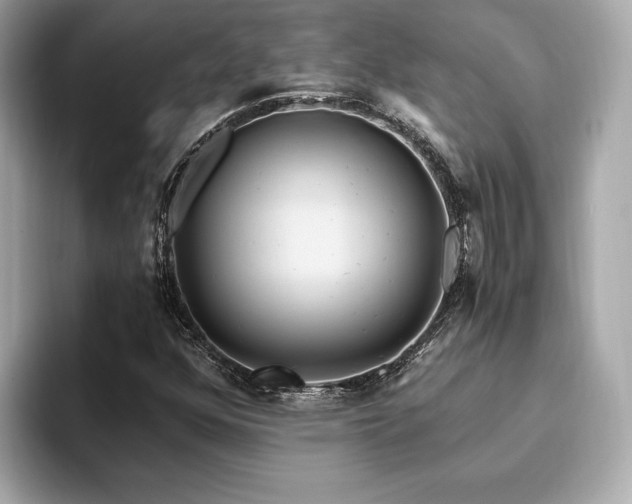 X0000093751352200710161150