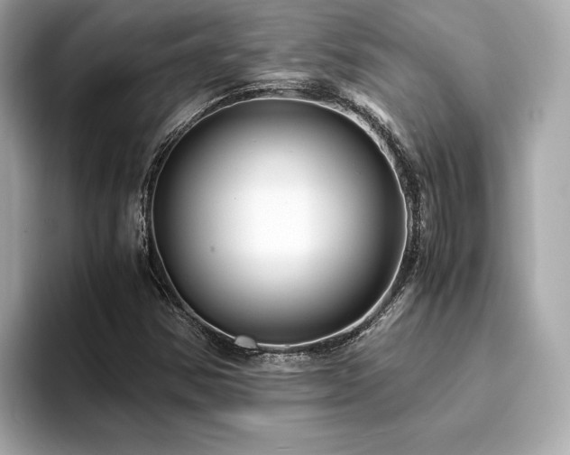 X0000093751354200710161150