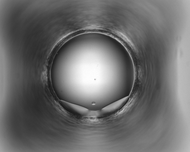 X0000093751356200710161150