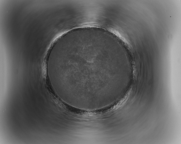 X0000093751358200710161150