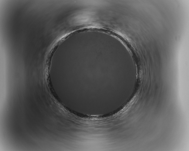 X0000093751359200710161150