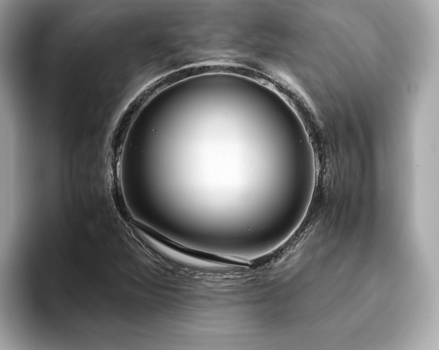 X0000093751360200710161149