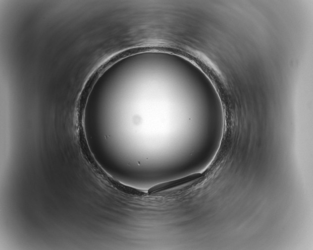 X0000093751364200710161149