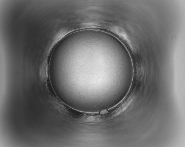 X0000093751365200710161149