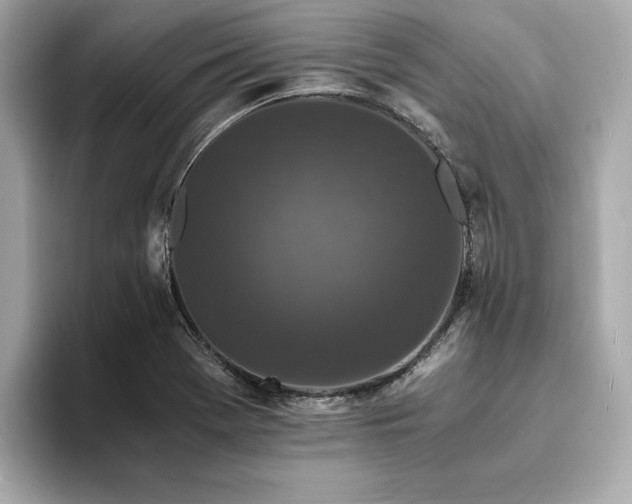 X0000093751369200710161149