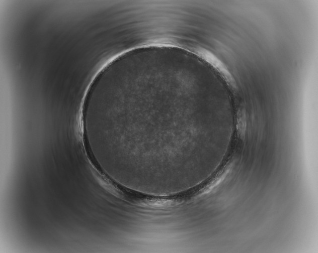 X0000093751372200710161149