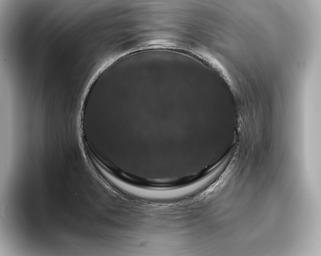 X0000093751373200710161149