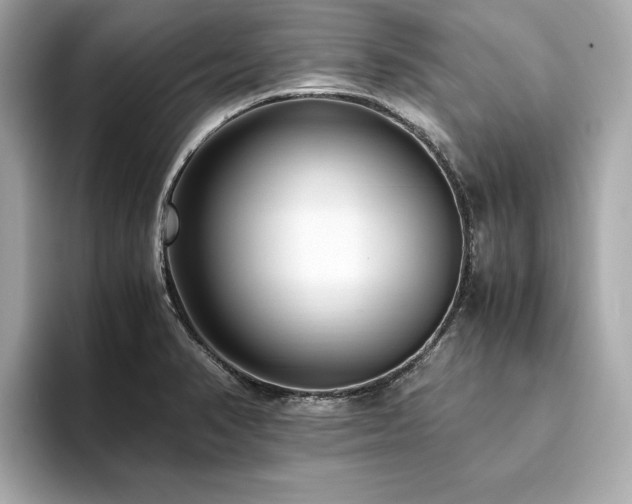 X0000093751374200710161149