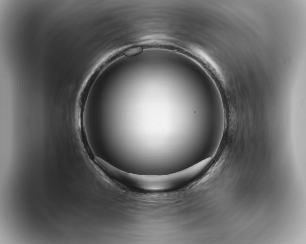 X0000093751376200710161149