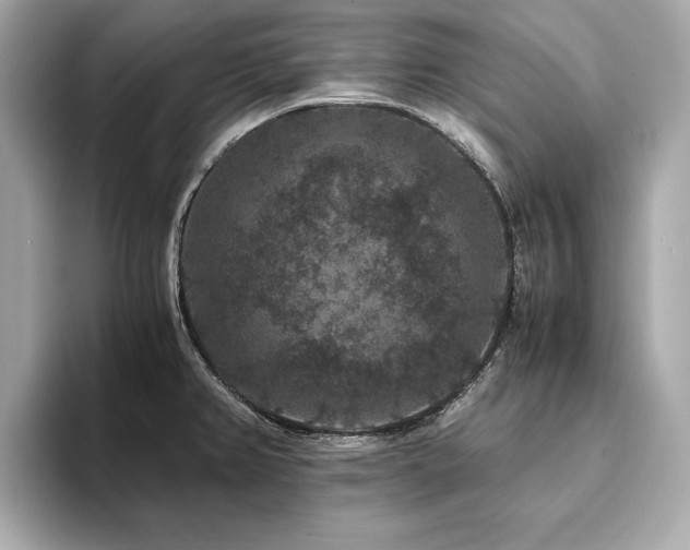 X0000093751382200710161149