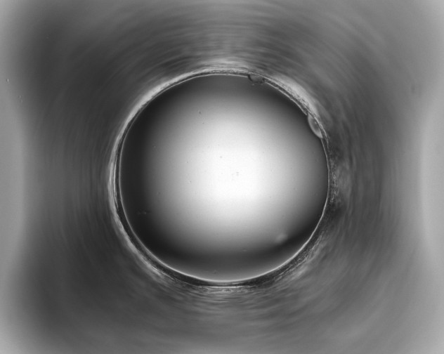 X0000093751391200710161149
