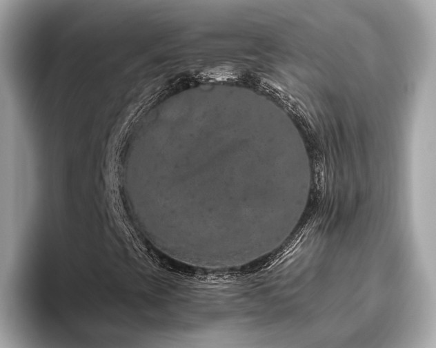 X0000093751393200710161149