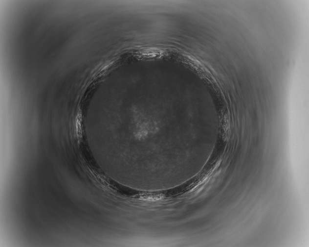 X0000093751394200710161149
