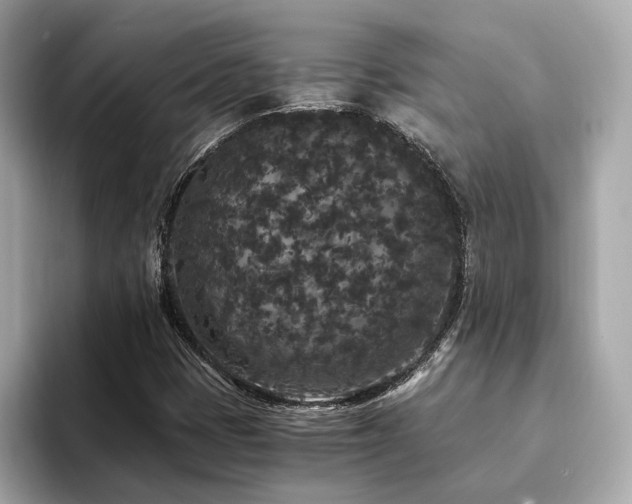 X0000093751401200710161149