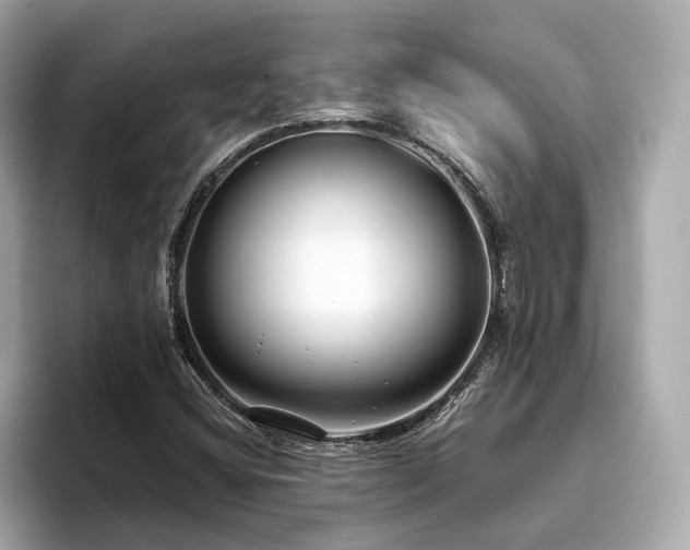X0000093751404200710161149