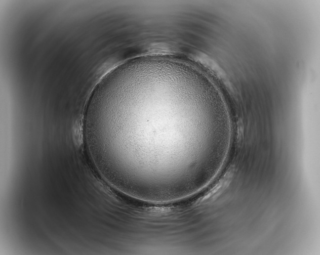 X0000093751409200710161149
