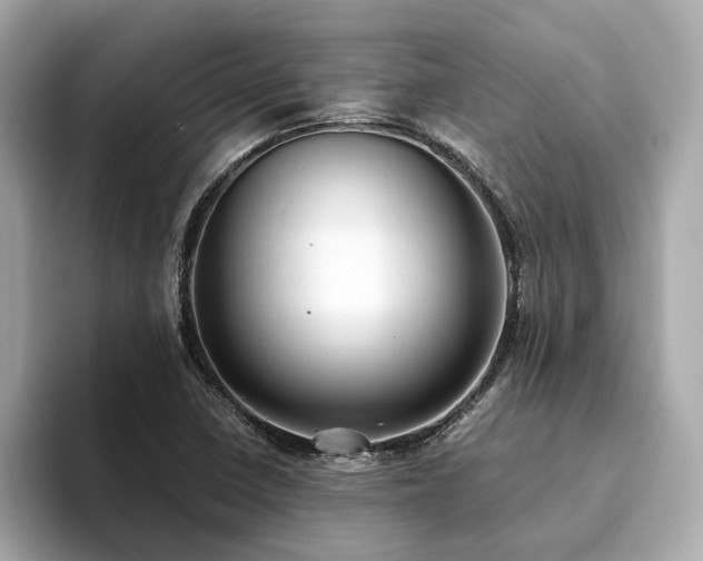 X0000093751410200710161149
