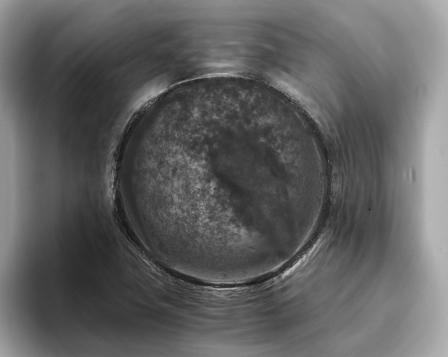 X0000093751411200710161149