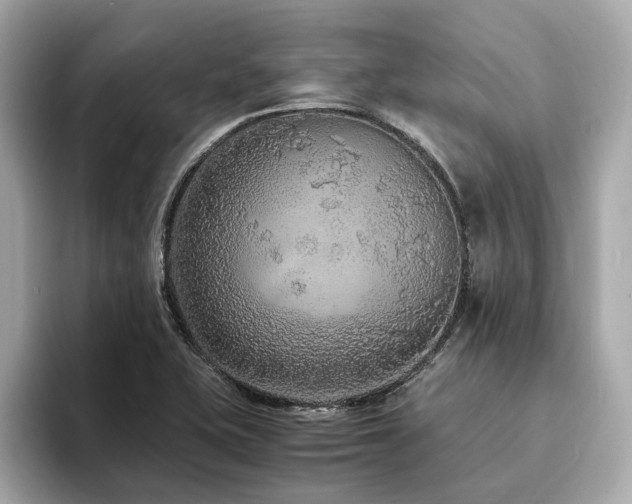 X0000093751415200710161149