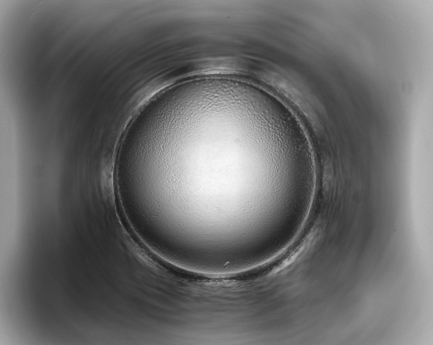 X0000093751417200710161149