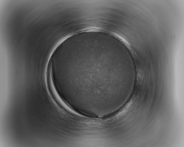 X0000093751418200710161149