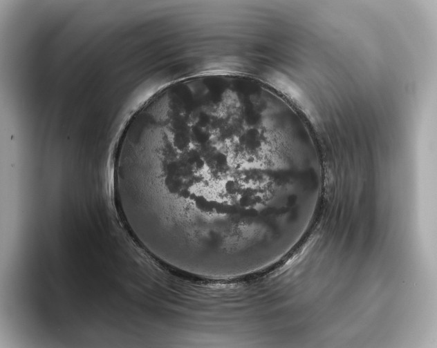 X0000093751419200710161149