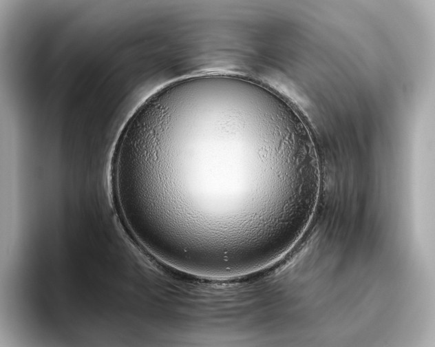 X0000093751423200710161149