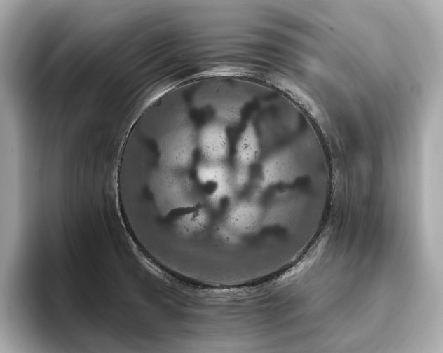 X0000093751425200710161149