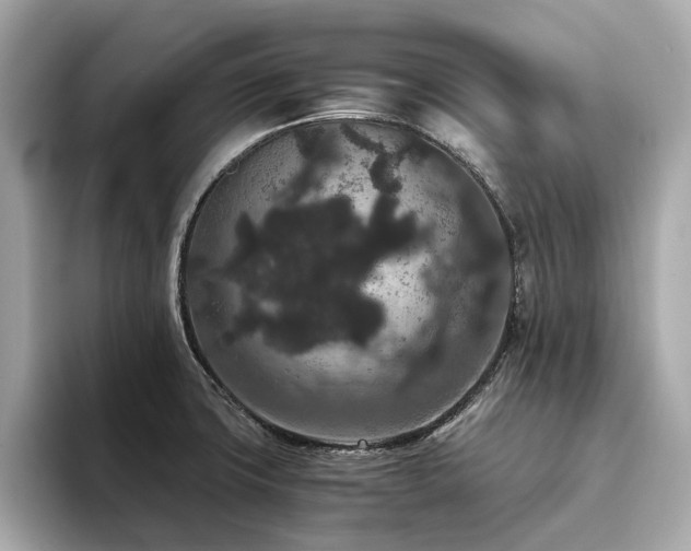 X0000093751427200710161149