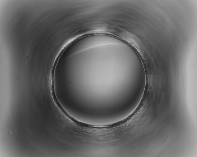 X0000093751428200710161149