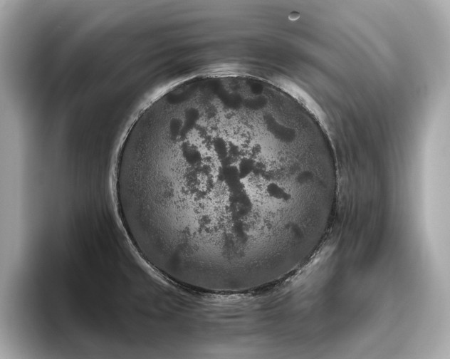 X0000093751429200710161149