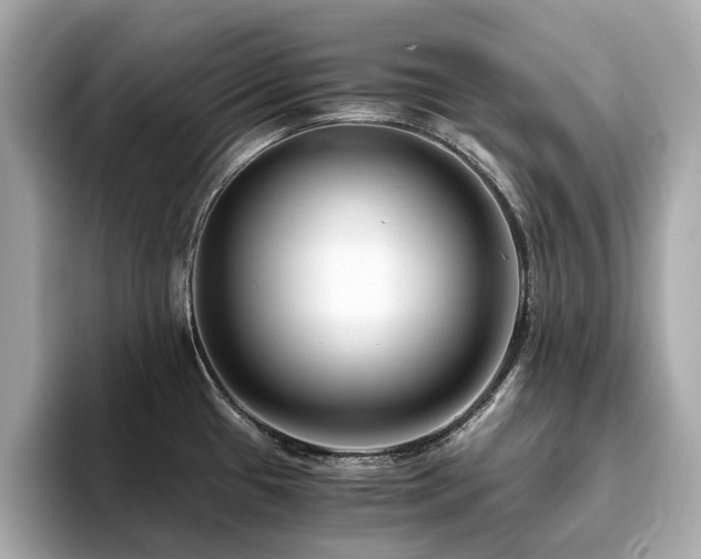 X0000093751433200710161149