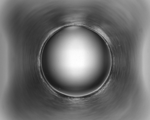 X0000093751436200710161149