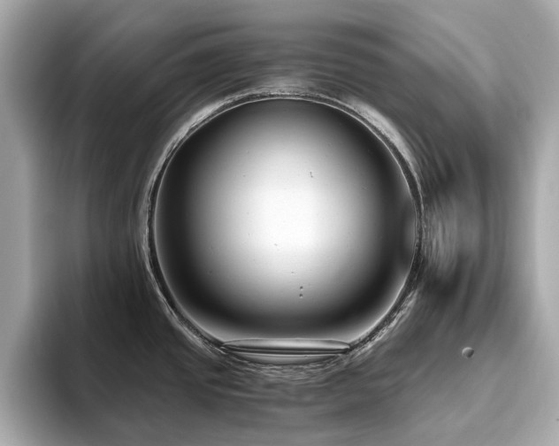 X0000093751437200710161149