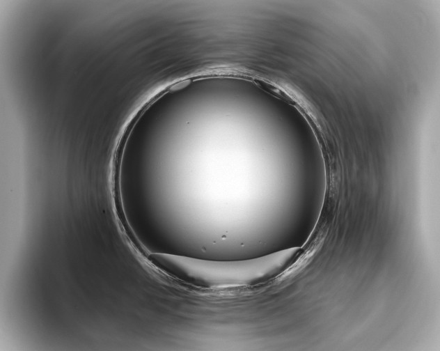 X0000093751438200710161149
