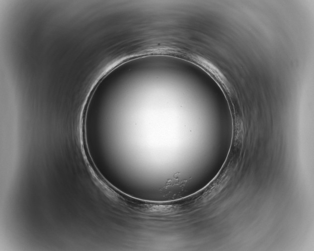 X0000093751439200710161149