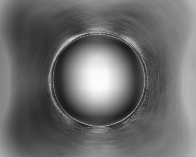 X0000093751440200710161149
