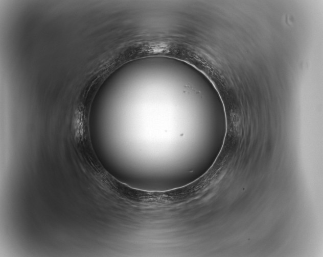 X0000093751442200710161149