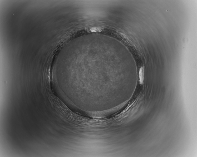 X0000093751443200710161149