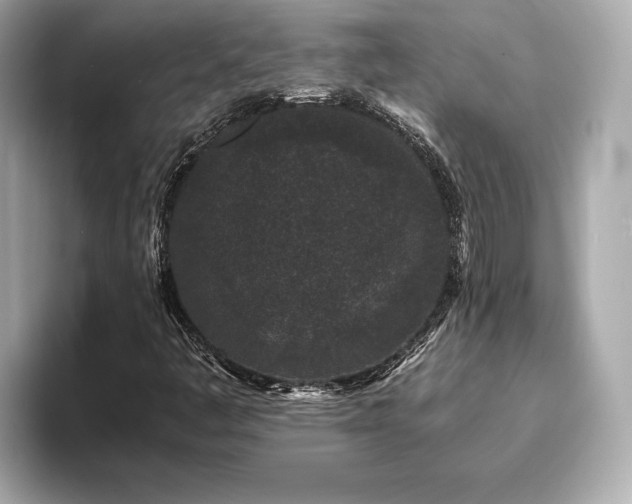 X0000093751445200710161149