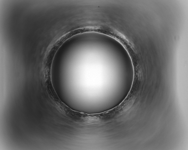 X0000093751448200710161148