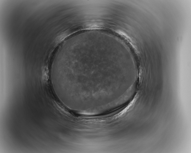 X0000093751449200710161148