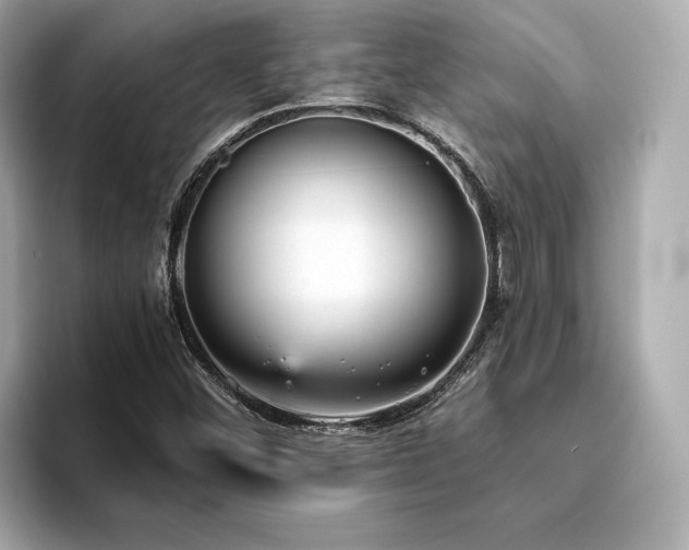 X0000093751452200710161148