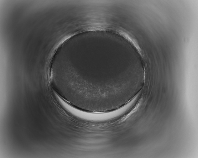 X0000093751453200710161148