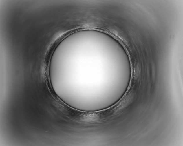 X0000093751454200710161148