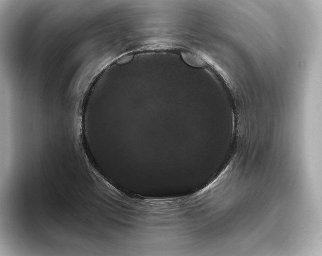 X0000093751459200710161148